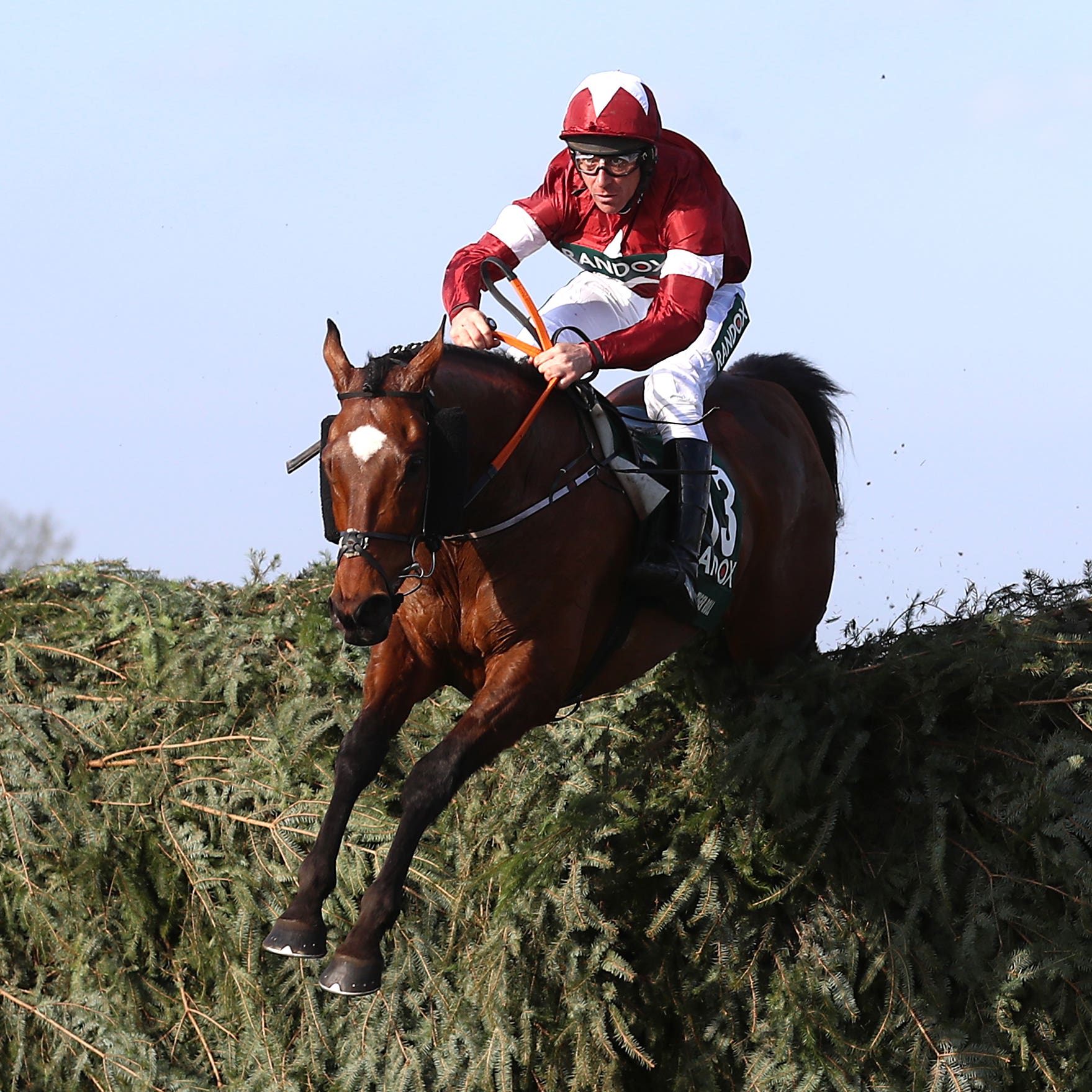 Tiger Roll on his way to winning the Grand National at Aintree