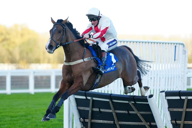 Goshen finished third in the Long Walk Hurdle last year 