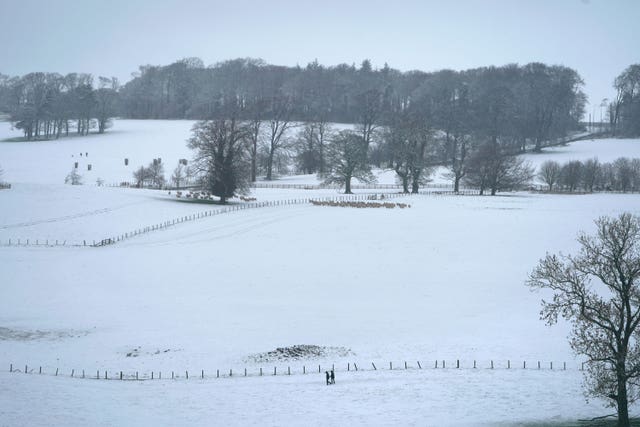 Spring weather Mar 16th 2019