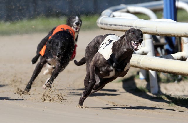 Perry Barr Greyhound Racing