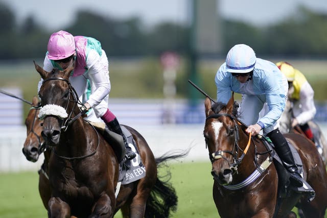Array (left) was a smart juvenile 
