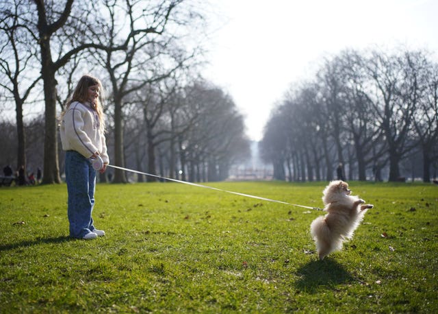 Rozalyn Merrett, nine, from Nottinghamshire, with Rosa, an 11-month-old Pomeranian, during a launch event for Crufts 2025 in Green Park, London