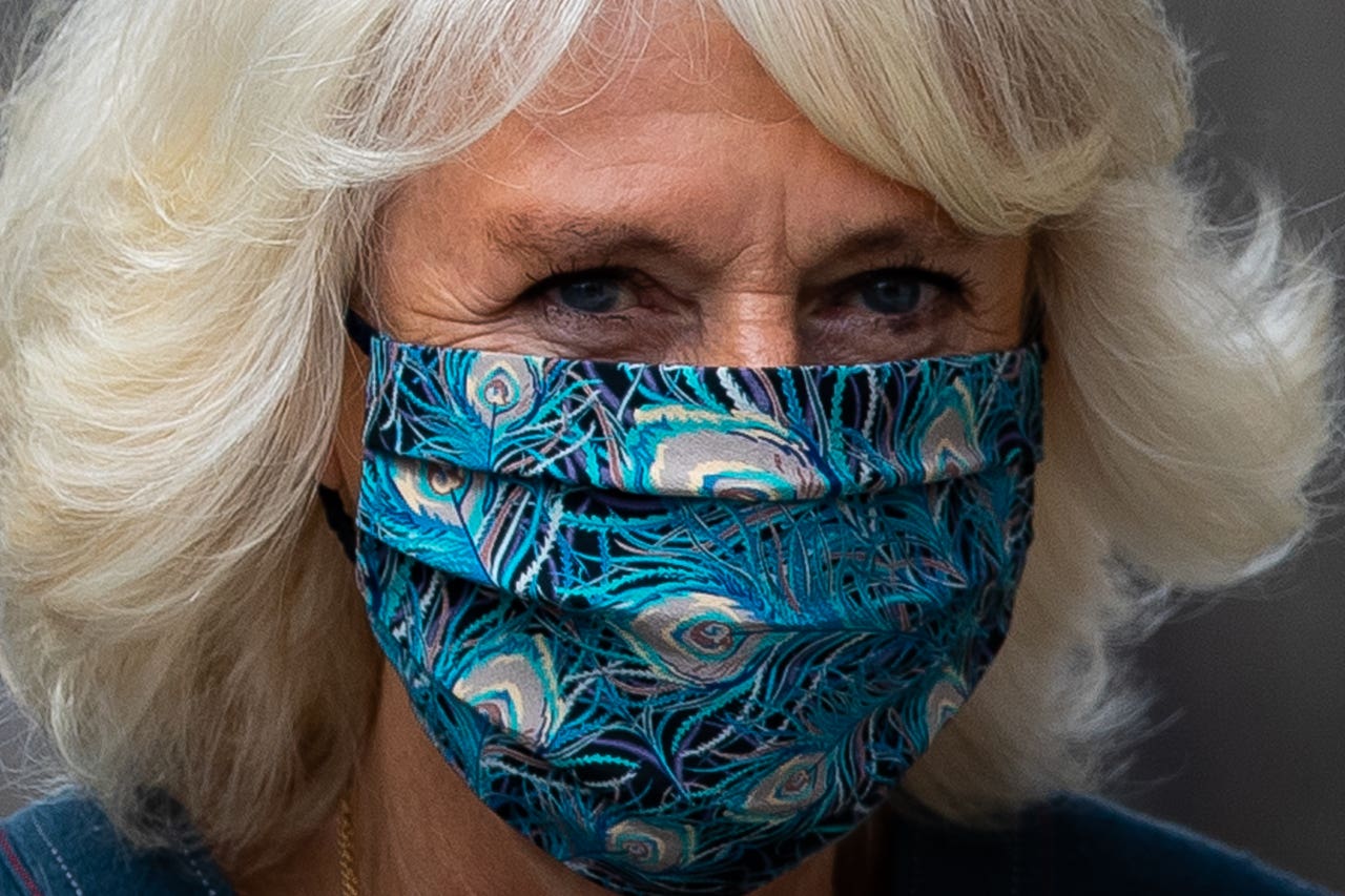 Camilla Wears Face Mask For National Gallery Visit 