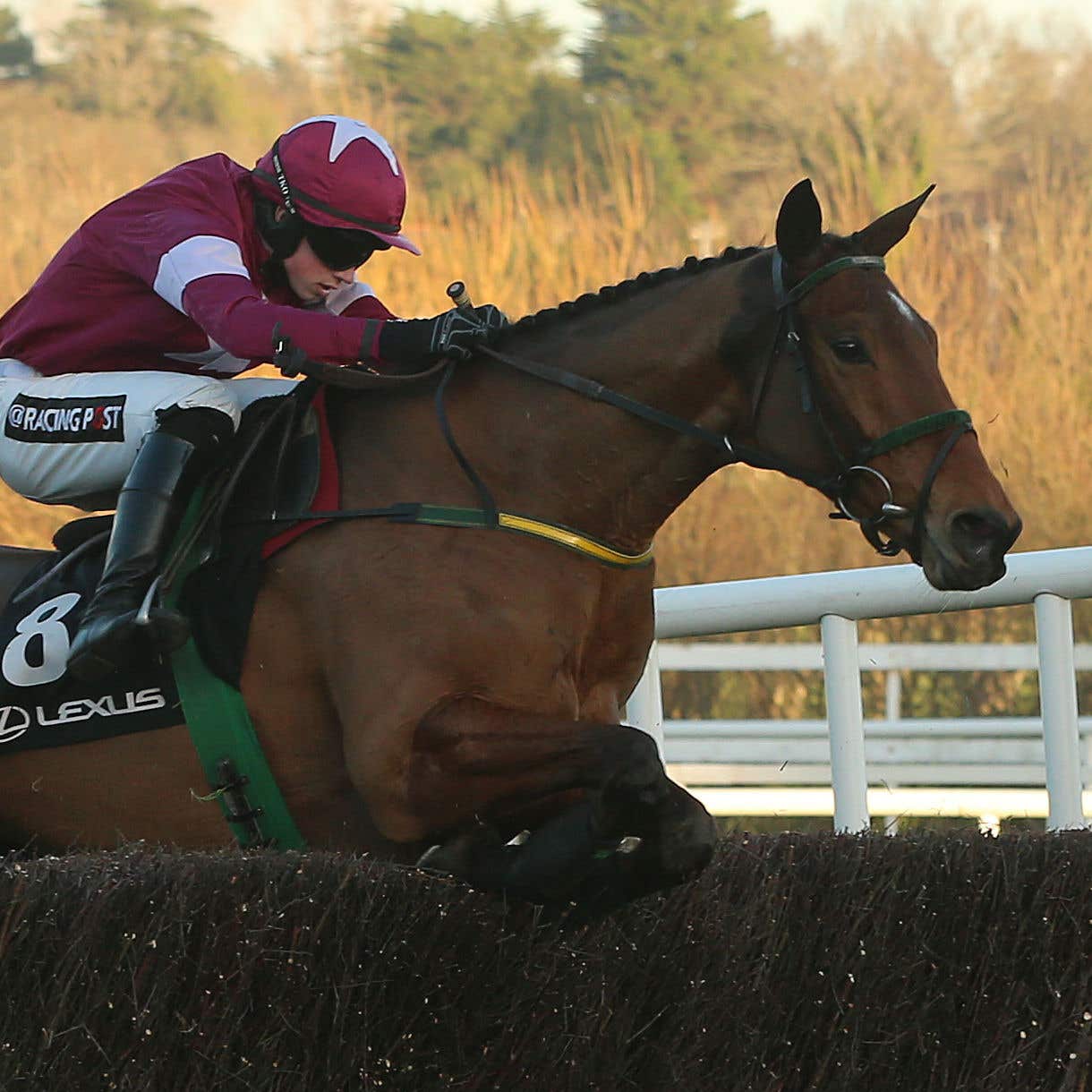 Road to Riches on his way to winning the Lexus Chase at Leopardstown