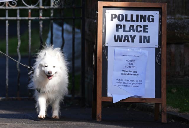 A white dog tied to railings next to a polling place sign