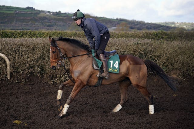 El Fabiolo on the gallops at Closutton 