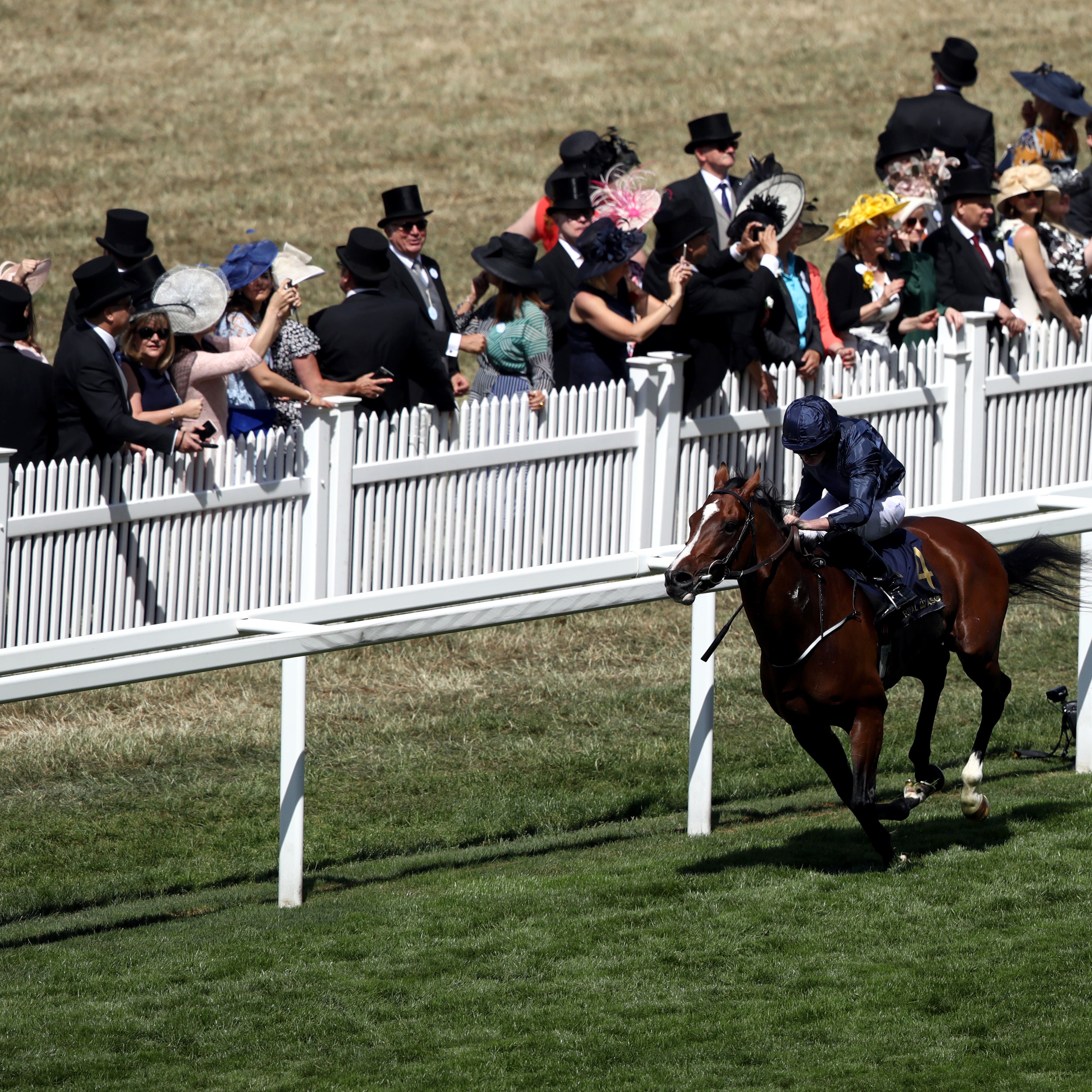 Ryan Moore claims his 50th Royal Ascot winner on Hunting Horn