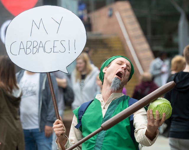 Comic Con fan