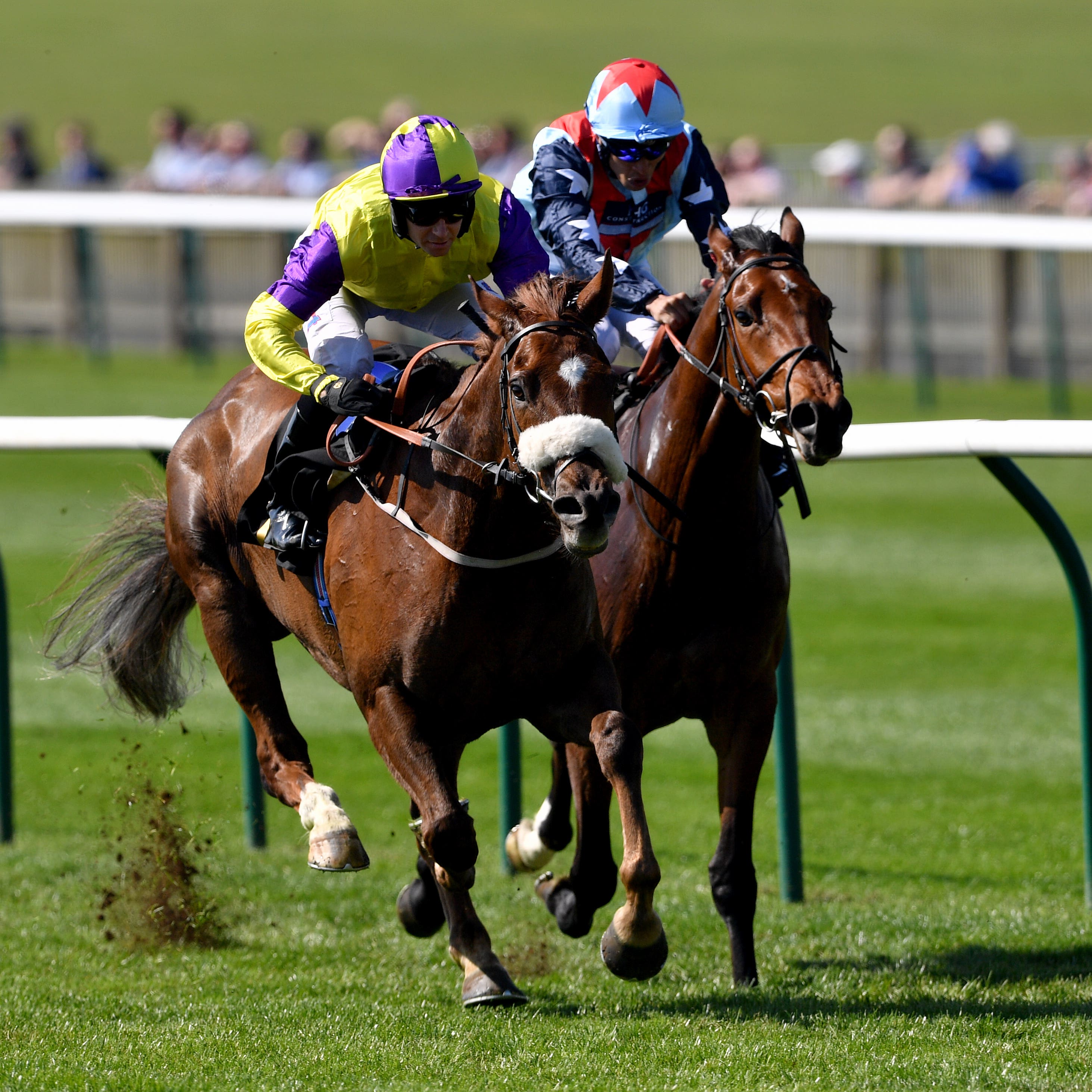 Brando (left) is bidding for a hat-trick in the Abernant Stakes