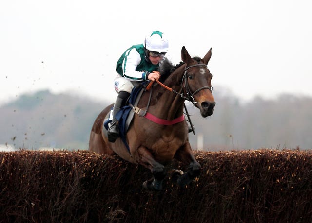 L'Homme Presse at Cheltenham in March 