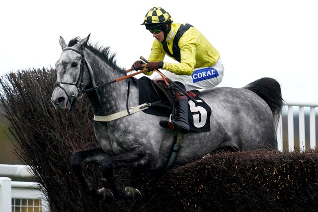 Elixir De Nutz will have an entry in the Grand Annual Chase