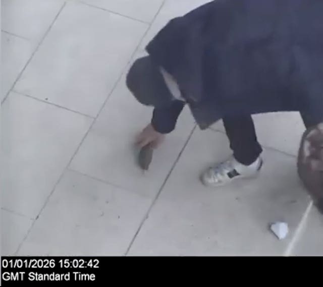 Julian Valente Pereira court case