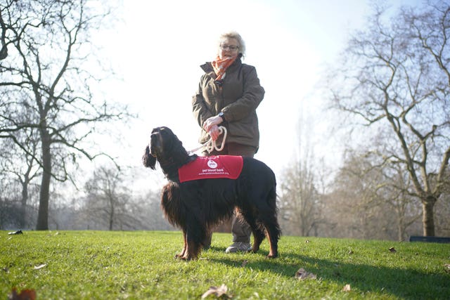 Sue Mitchell, from Bedfordshire, with Sharwood, an eight-year-old Gordon setter, during a launch event for Crufts 2025 in Green Park, London 