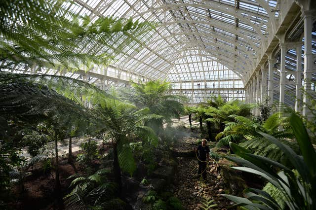 Horticulturalist Emma Love waters foliage in the Temperate House during the reopening at Kew Gardens in Kew (Kirsty O'Connor/PA)