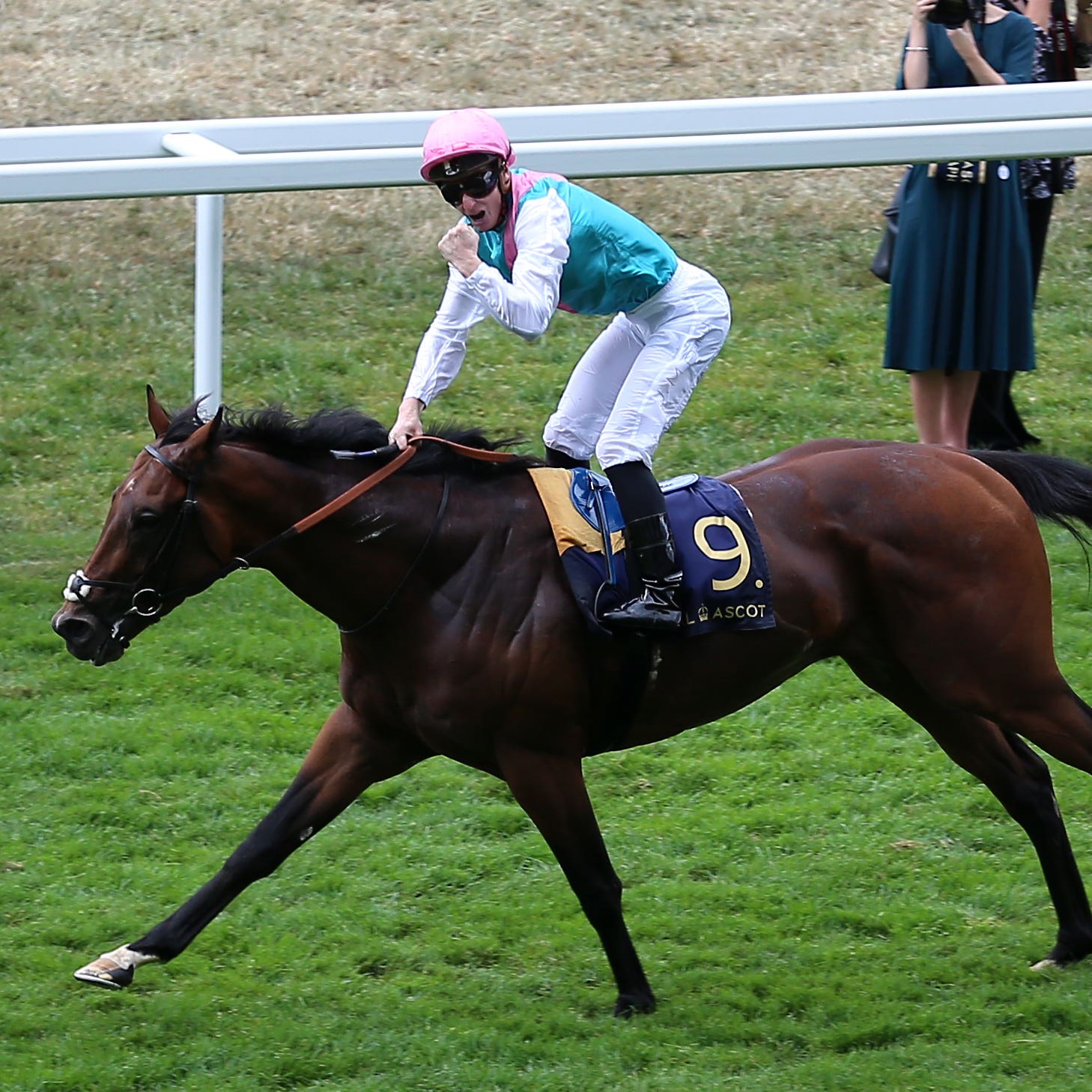 Expert Eye wins the Jersey Stakes at Royal Ascot