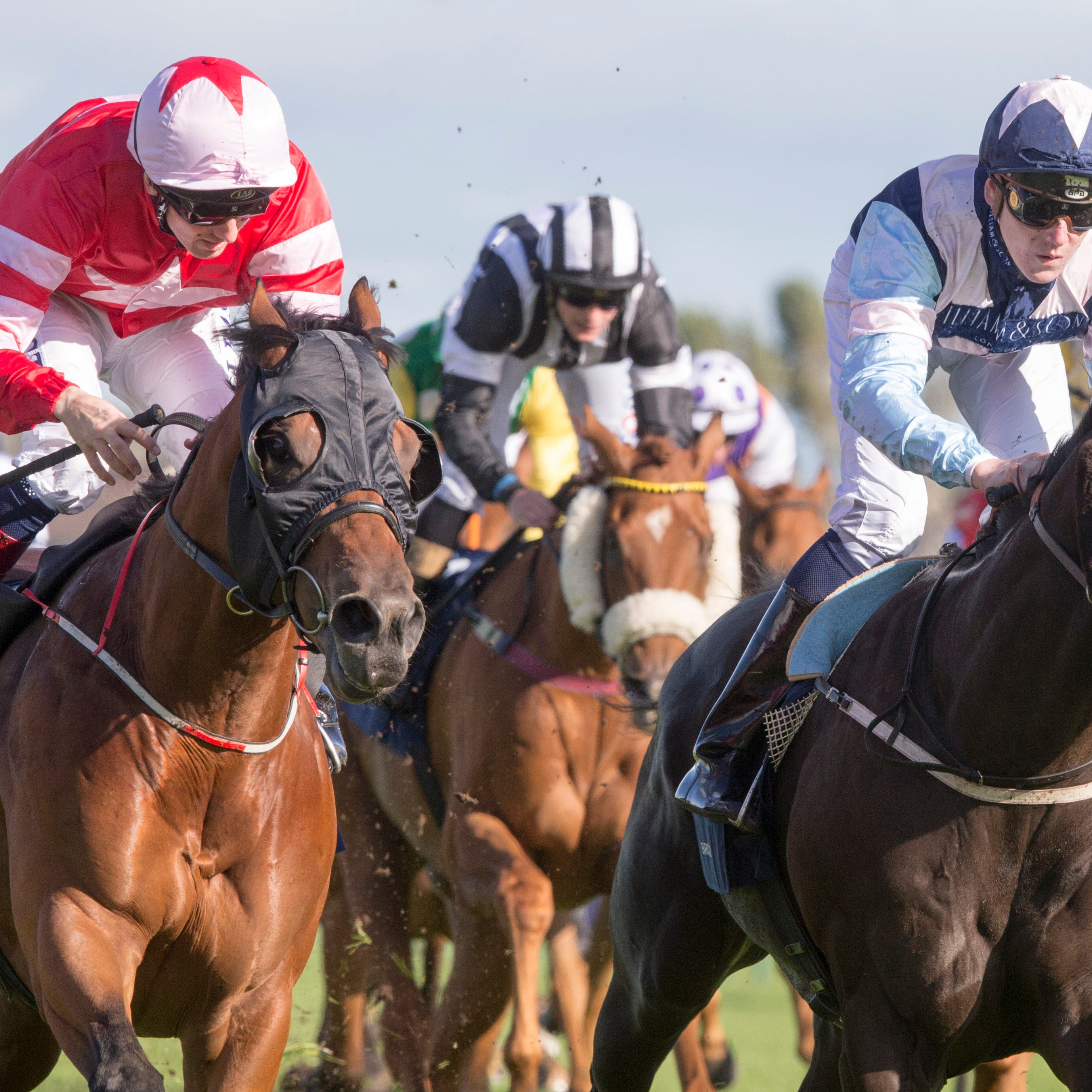 Son of Rest (left) and Baron Bolt dead-heated in the Ayr Gold Cup