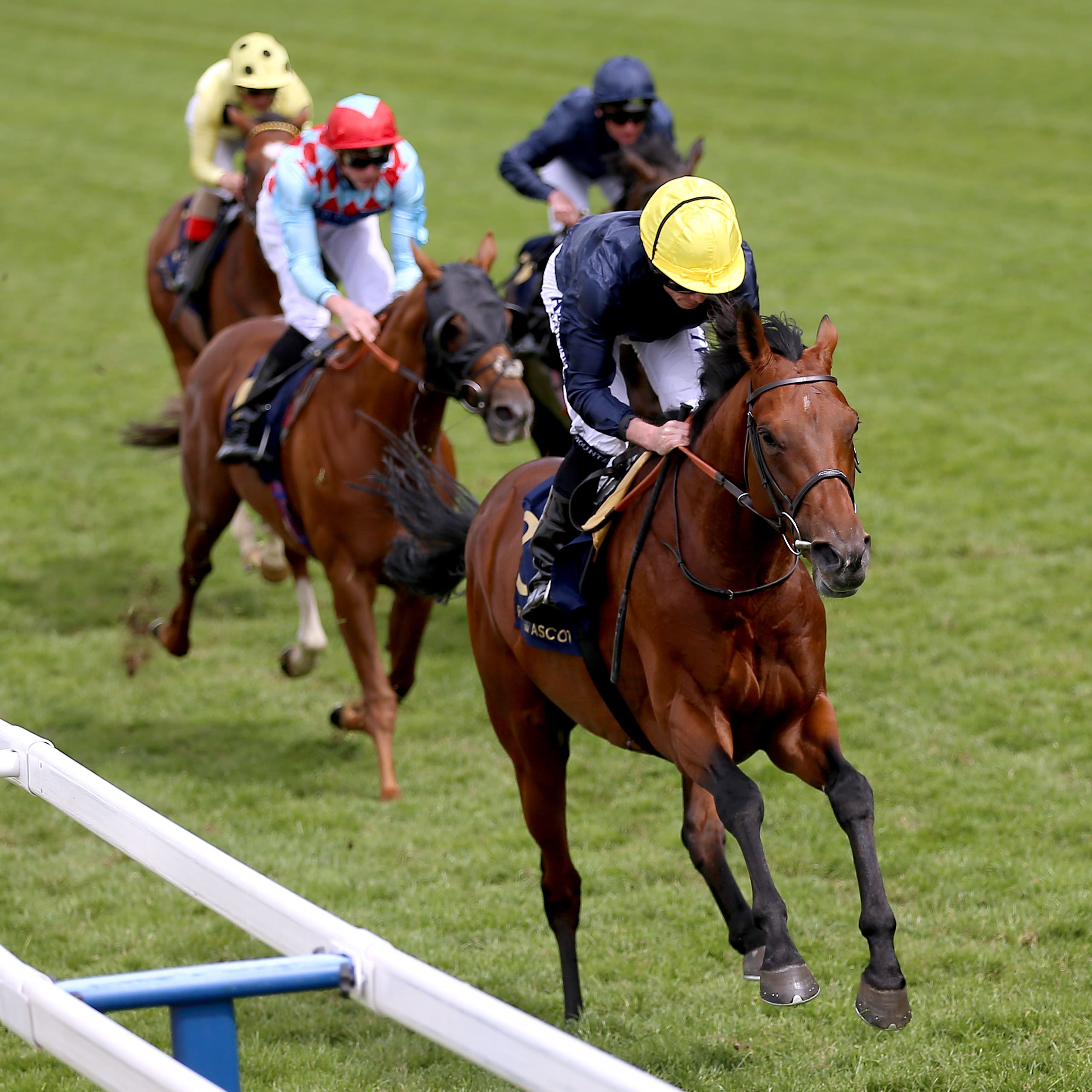 Crystal Ocean on his way to winning the Hardwicke Stakes at Royal Ascot