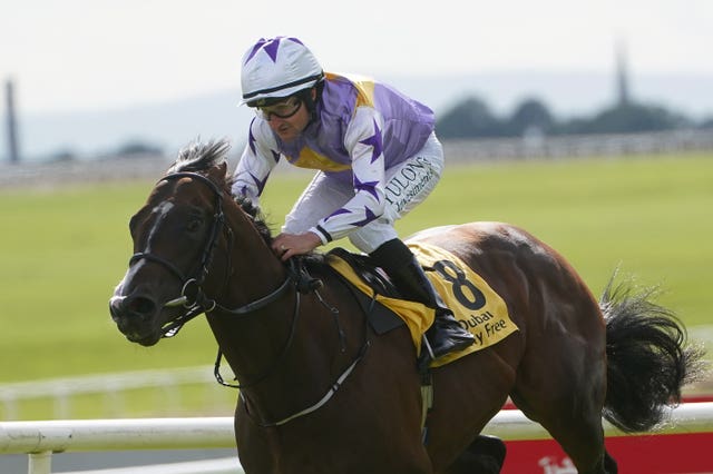 Bold Discovery was back to his best at the Curragh last month