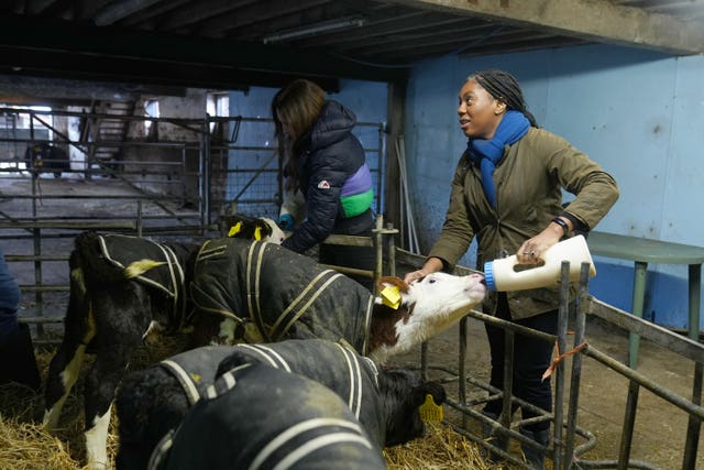 Kemi Badenoch feeds calves during a farm visit 