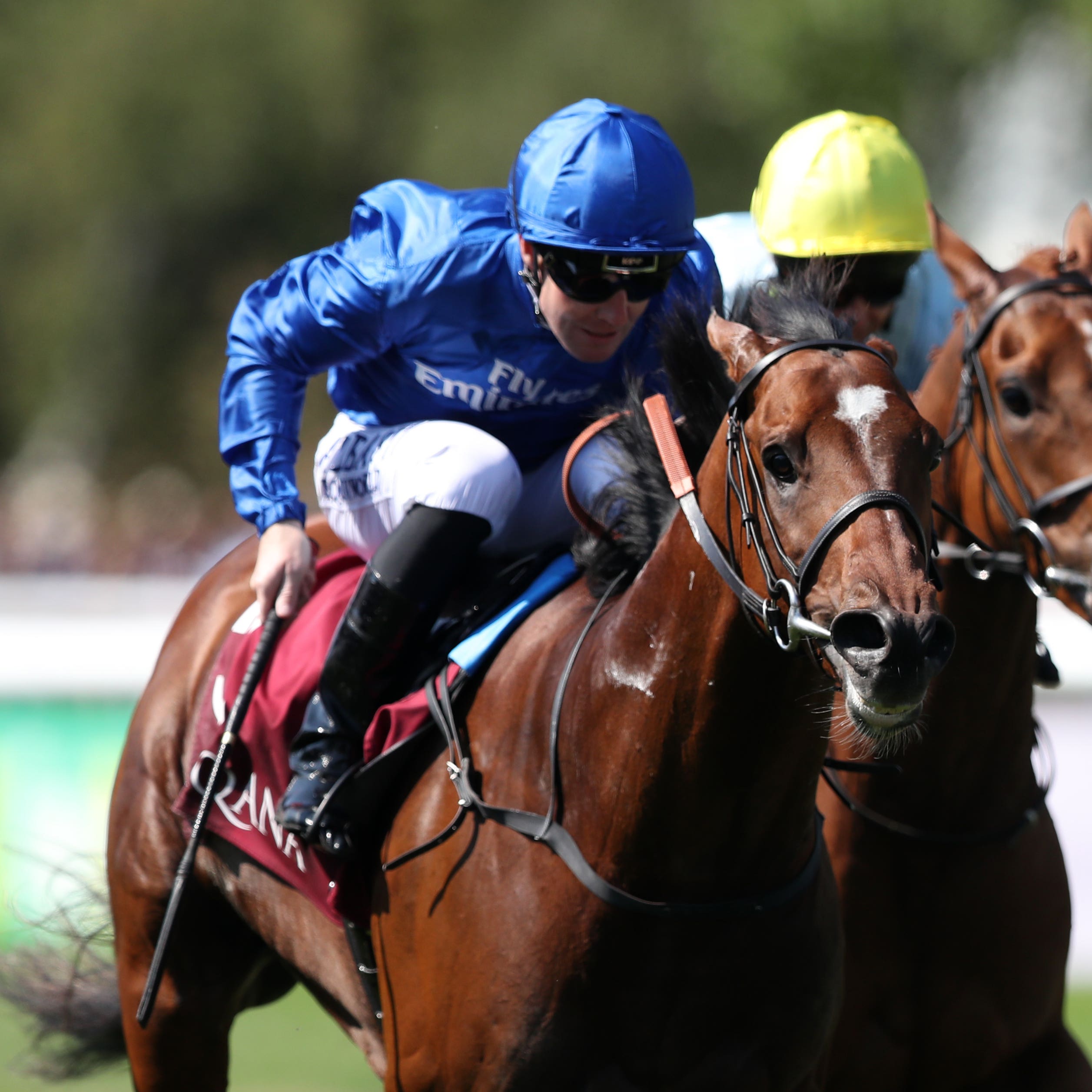 Best Solution has the Caulfield Cup in his sights