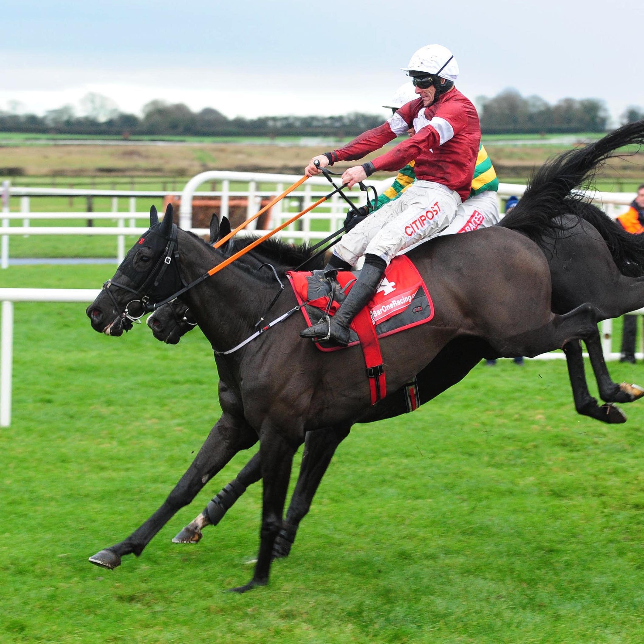 Delta Work and Davy Russell winning the Drinmore Novice