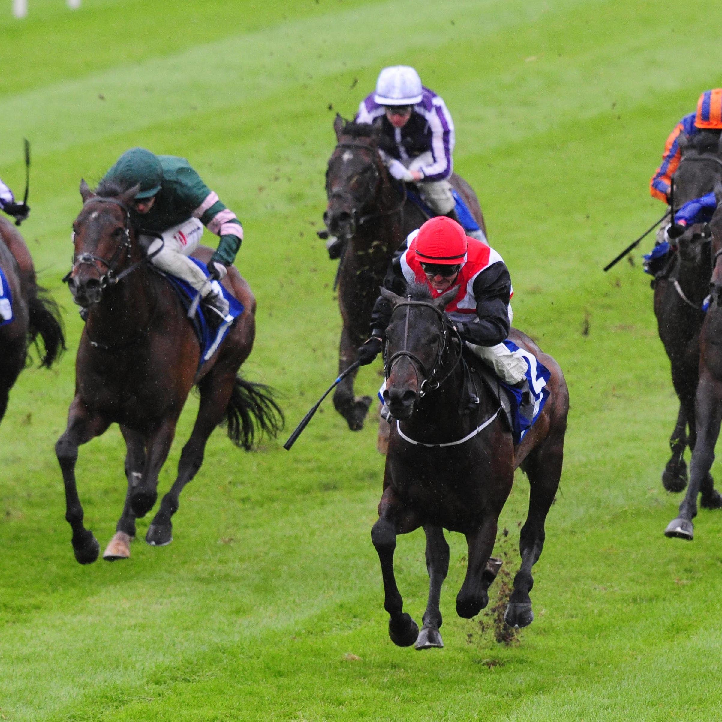 Brother Bear (red cap) in winning action (PA)