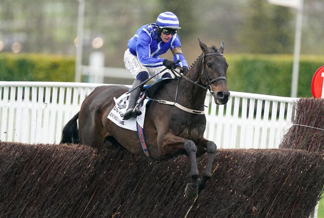 Energumene has twice won the Queen Mother Champion Chase