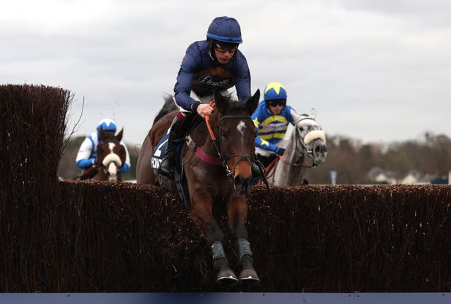 Djelo had been impressive until a mishap at Lingfield
