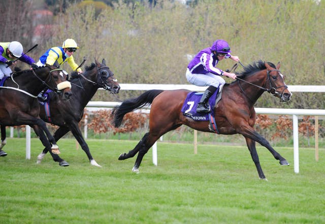 Sir Lamorak in full flight at Leopardstown