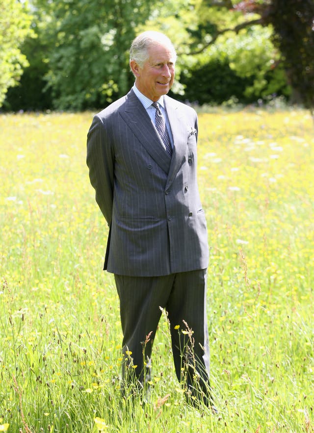 The then-Prince of Wales in a meadow in 2013