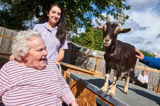Animal therapy at care home