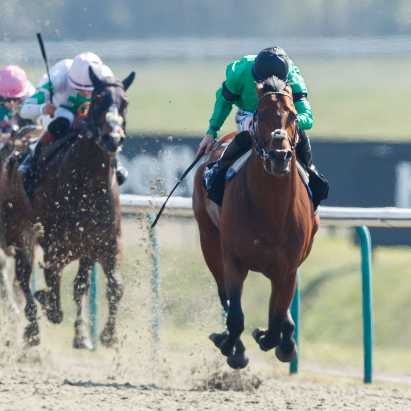 Kachy (right) blitzed his rivals at Lingfield