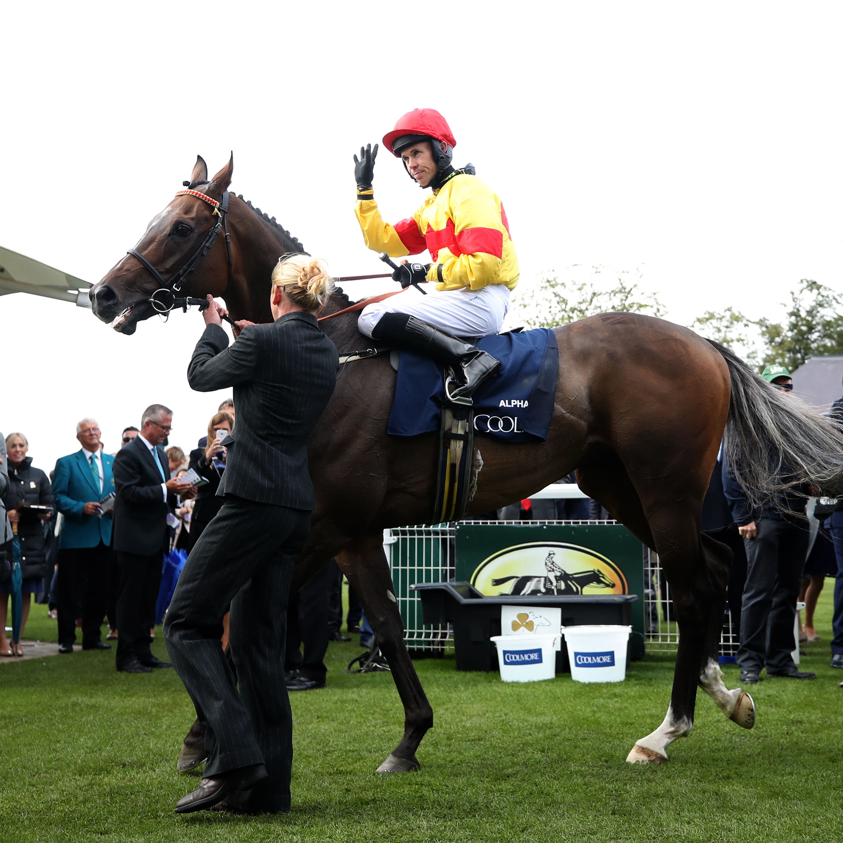 Alpha Delphini returns to the winner's enclosure after the Nunthorpe Stakes at York