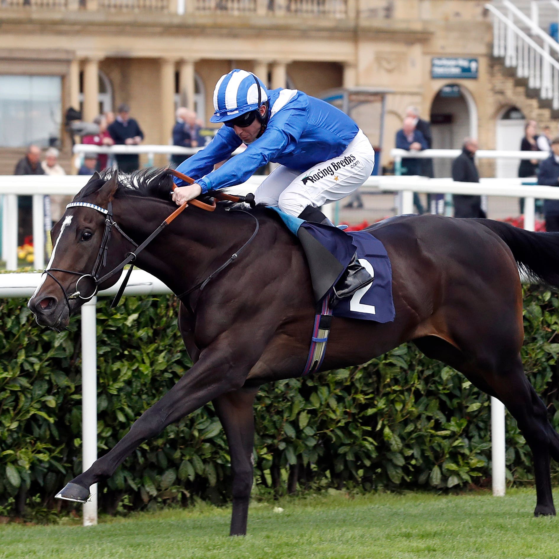 Shabaaby winning at Doncaster