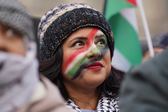 Pro-Palestinian marcher
