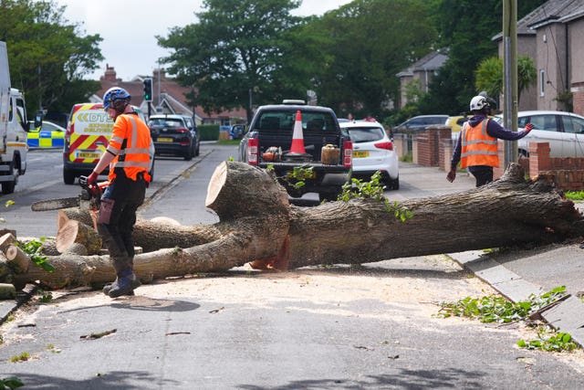 Workers cut up a tree which was felled by the wind on Plessey Road in Blyth, Northumberland