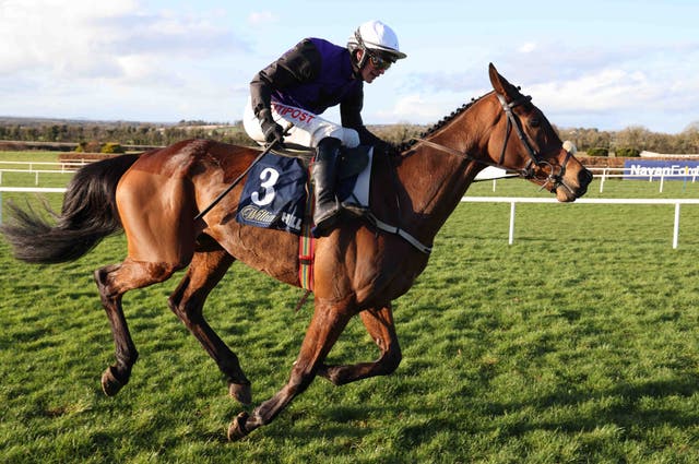 Minella Cocooner could join Nick Rockett in the Irish National