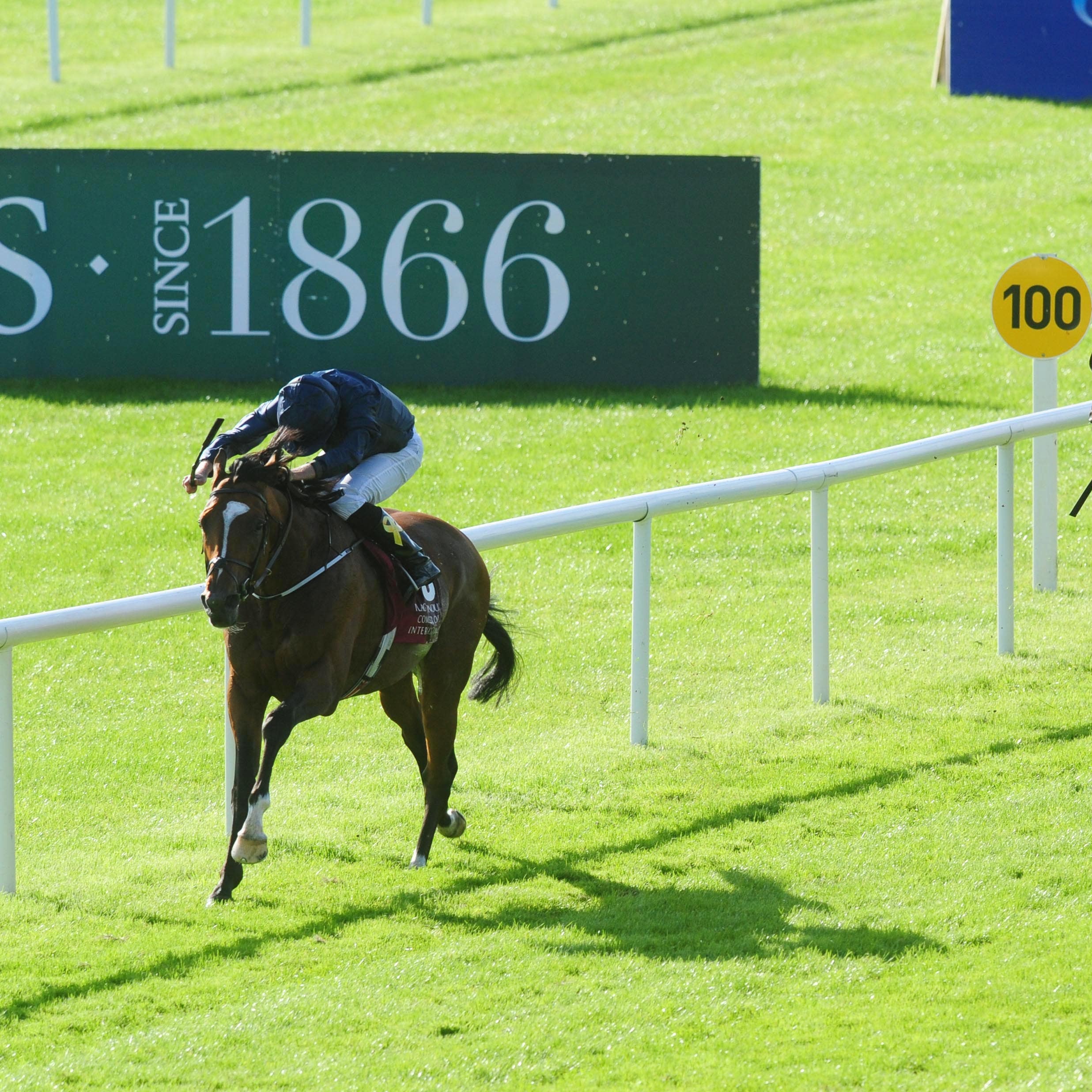 Flag Of Honour comes home clear