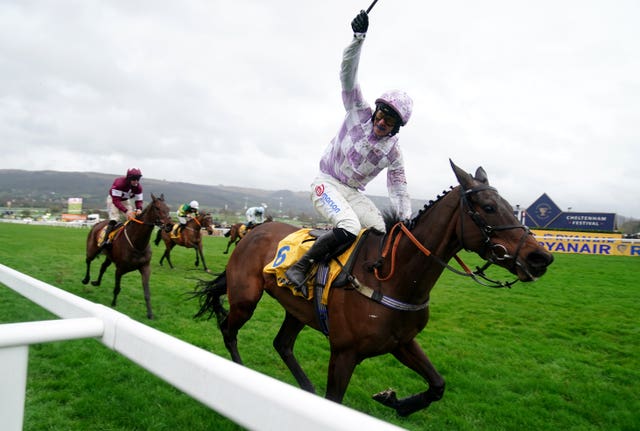 Golden Ace winning last year's Mares Novices' Hurdle at Cheltenham 