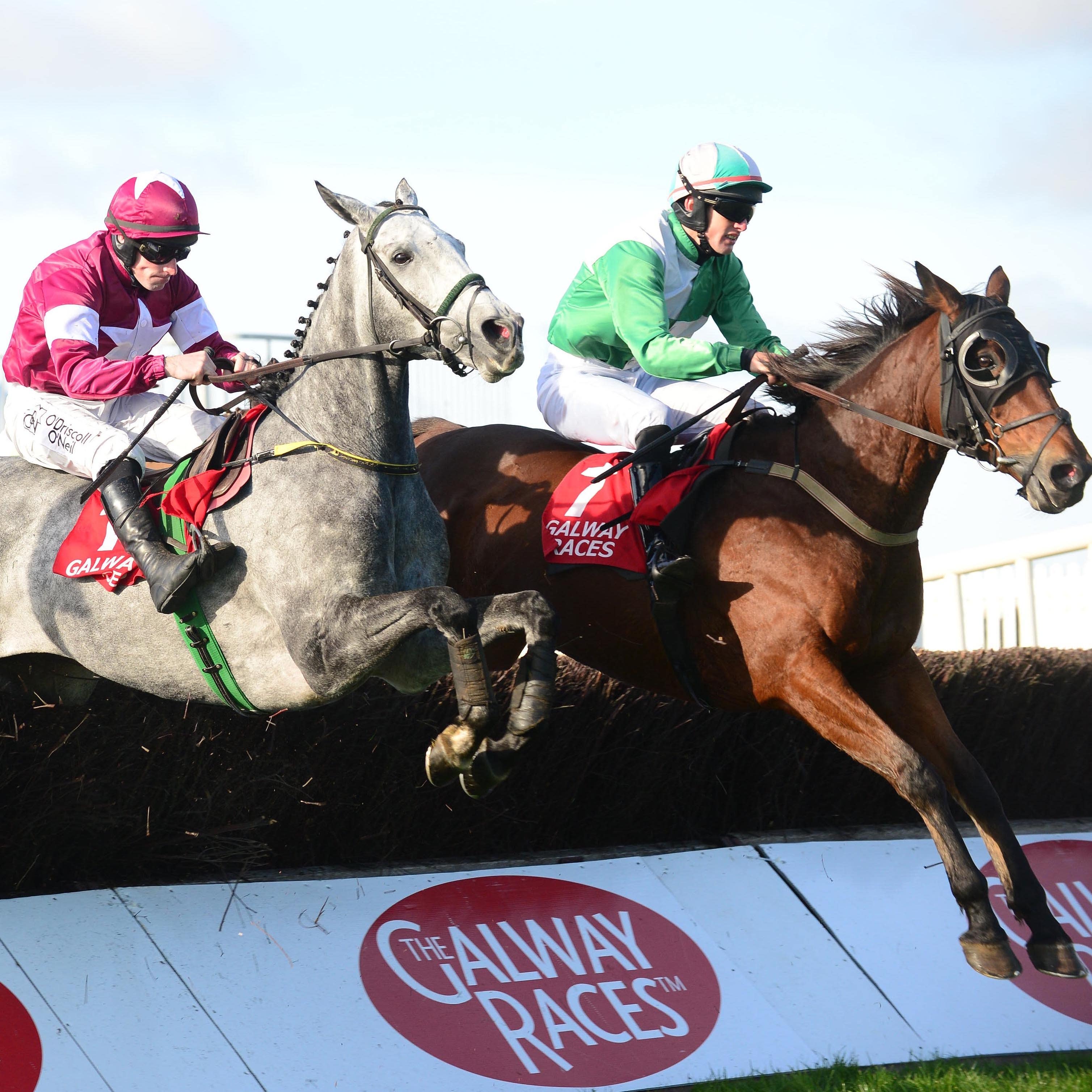 Tout Est Permis (left) heads the weights for the Irish Grand National