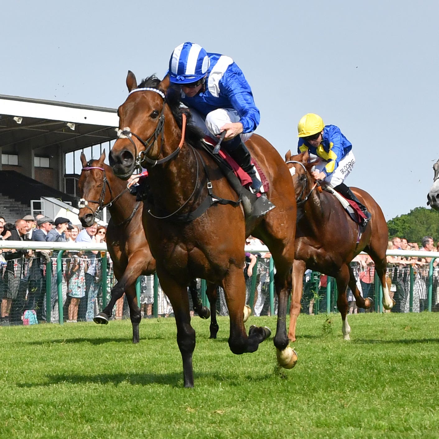 Battaash winning last year's Temple Stakes at Haydock