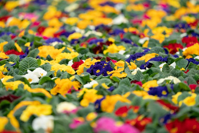 Lockdown gardening boom continues