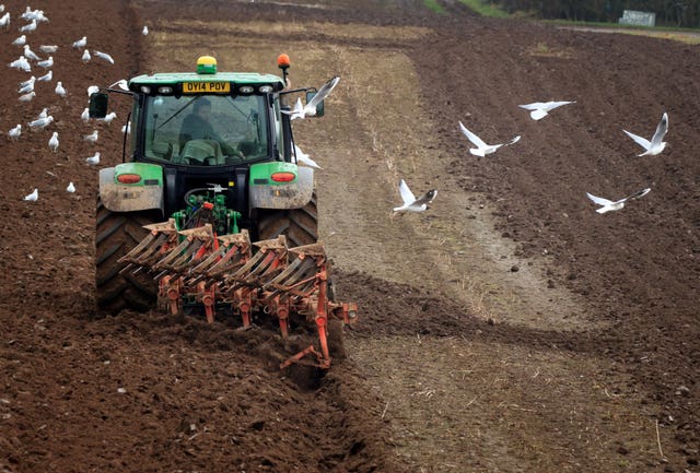 Tractor ploughing a field 