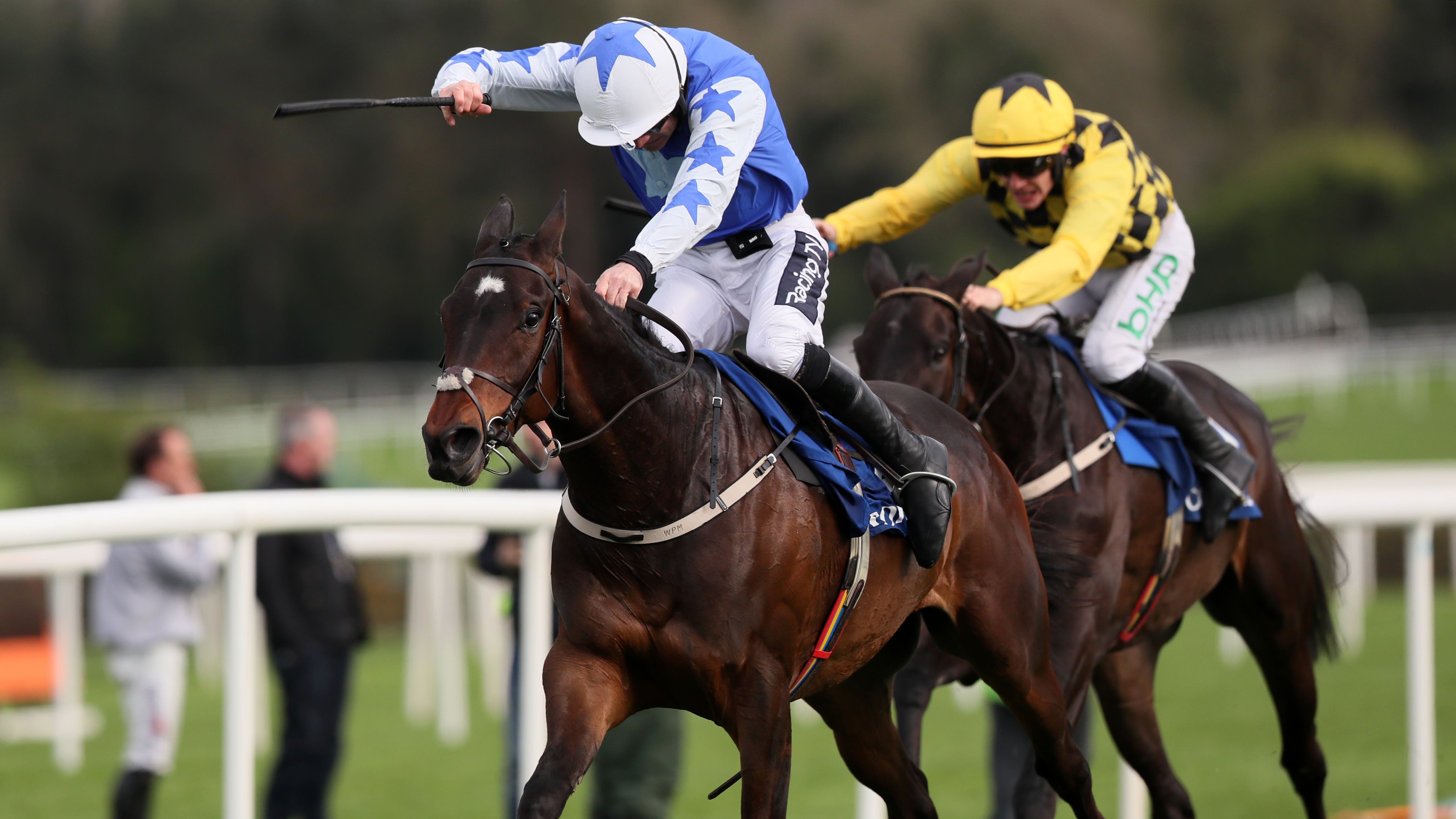 horse-racing-ireland-voids-supreme-horse-racing-club-ownership