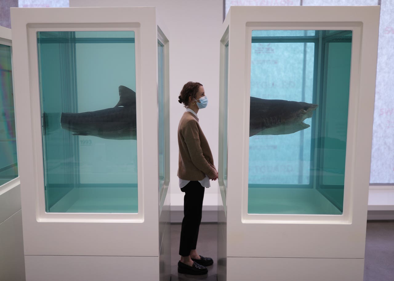 Damien Hirst exhibition featuring early works goes on display in London