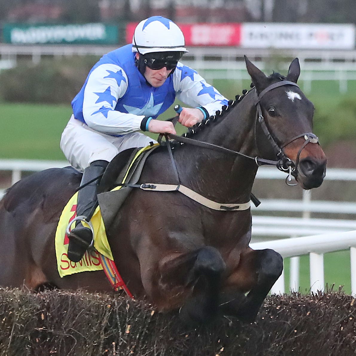 Kemboy on his way to winning the Savills Chase at Leopardstown