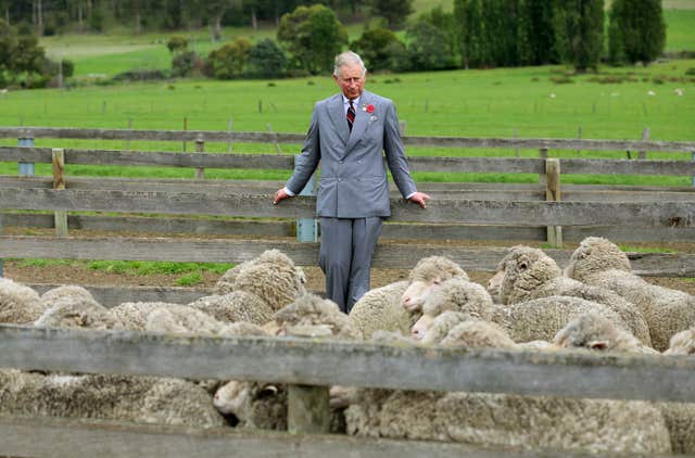 Charles on a visit to Leenavale Sheep Stud in Sorell, Tasmania