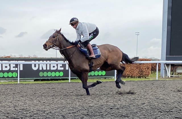 Constitution Hill during a racecourse gallop at Kempton last week