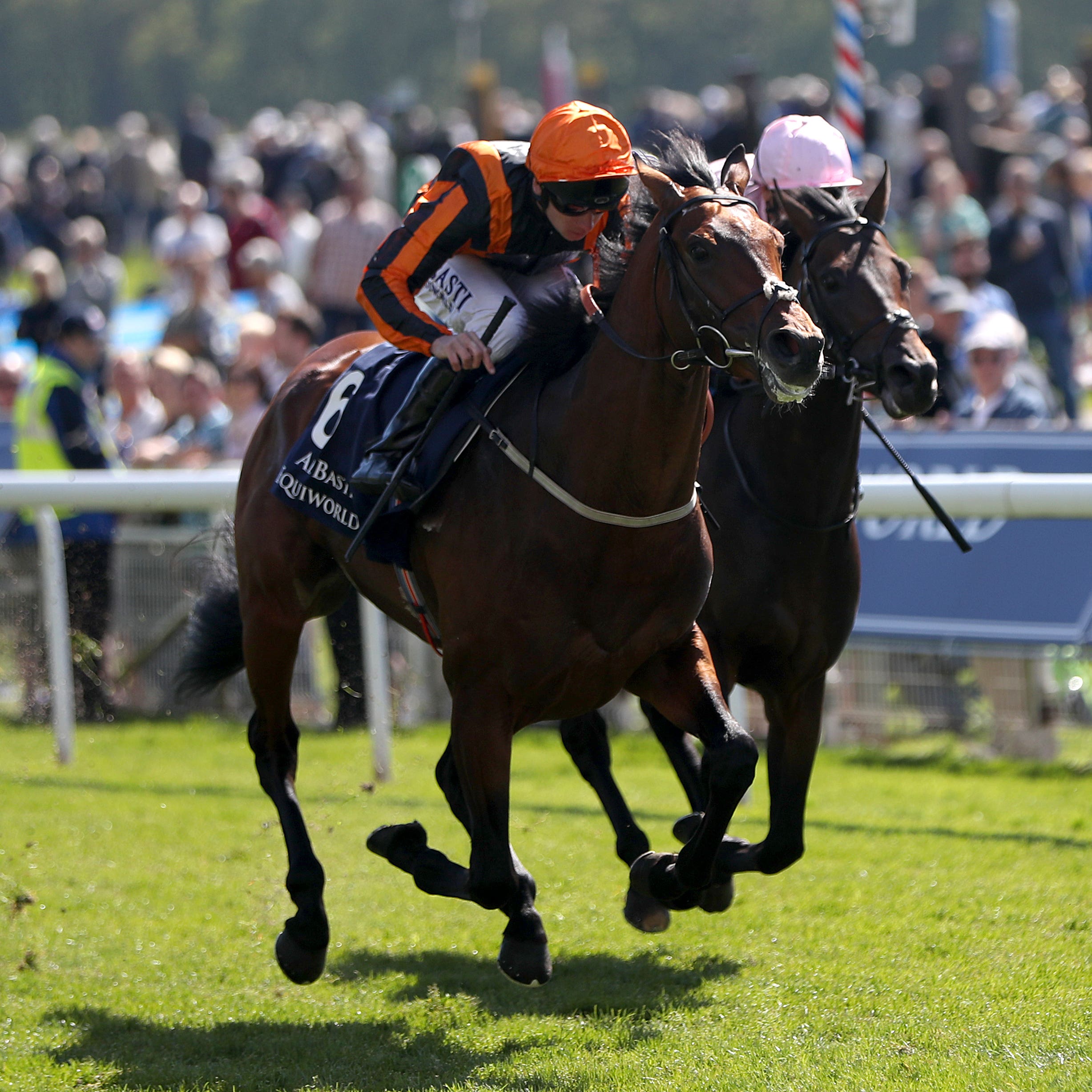 Telecaster sees off hot favourite Too Darn Hot in the Dante at York