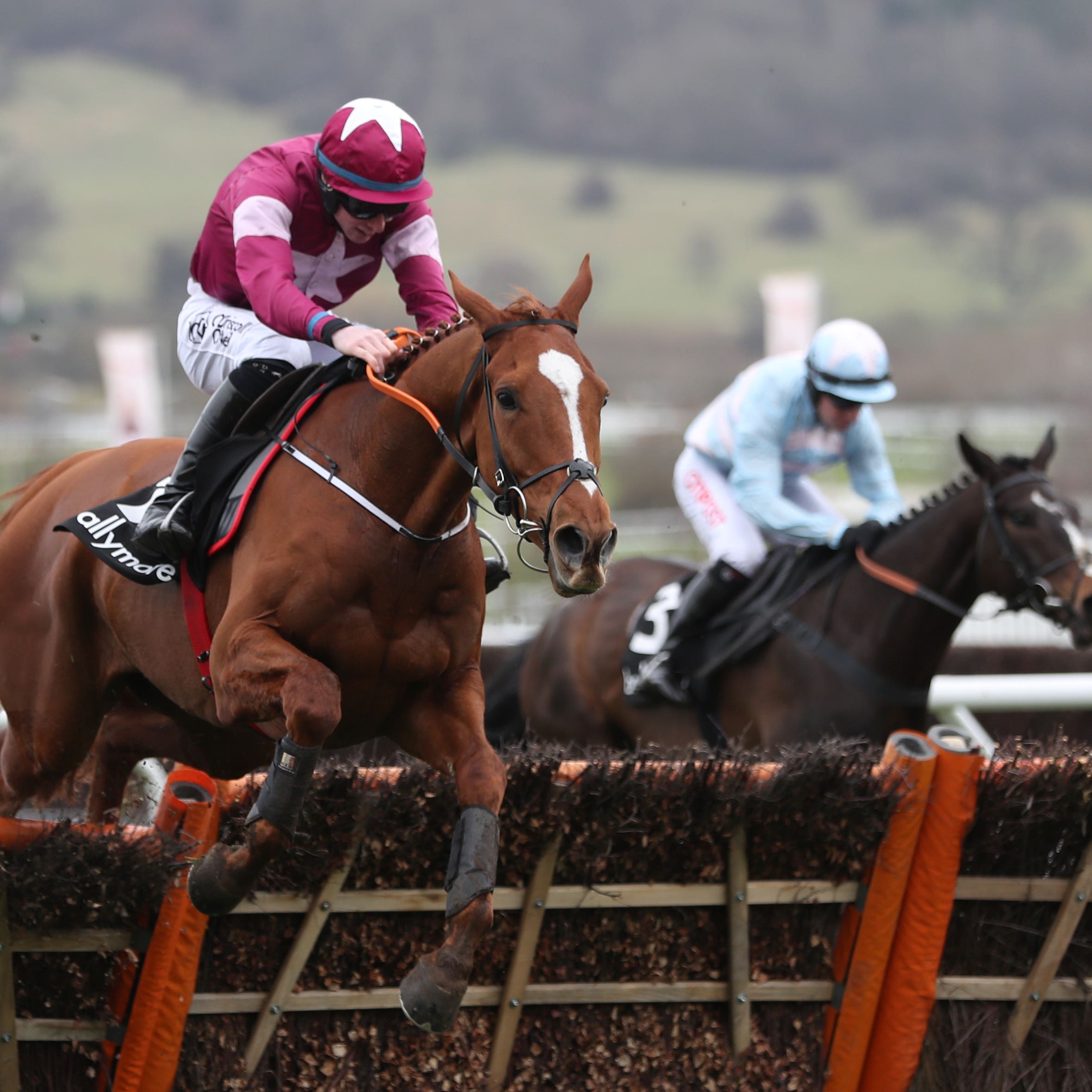 Samcro was a Festival winner last year but is unlikely to be there in March